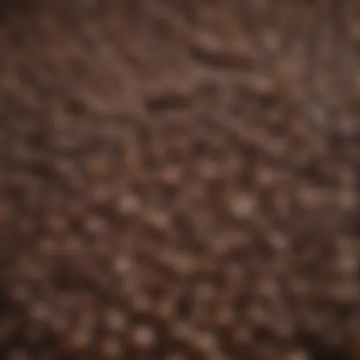 A close-up view of coffee beans showcasing their rich texture and color.