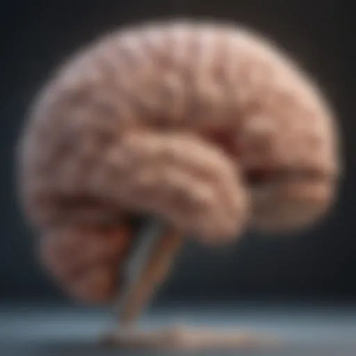 Illustration of a brain highlighting withdrawal symptoms