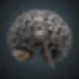 Illustration depicting a brain with interconnected gears symbolizing cognitive processes