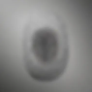 Identity Imprint Visual representation of a unique fingerprint signifying individuality