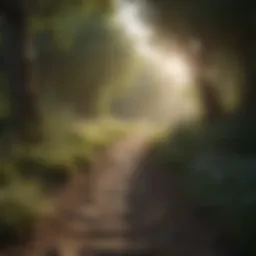 A serene landscape promoting mental healing