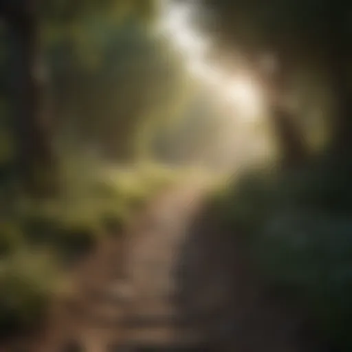 A serene landscape promoting mental healing