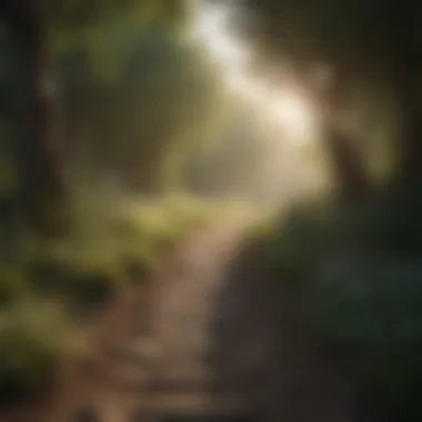 Nature's Embrace: A Path to Healing A serene landscape promoting mental healing